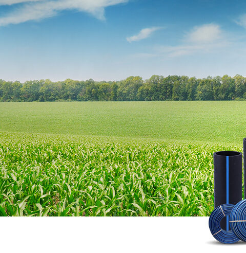 HDPE pipes